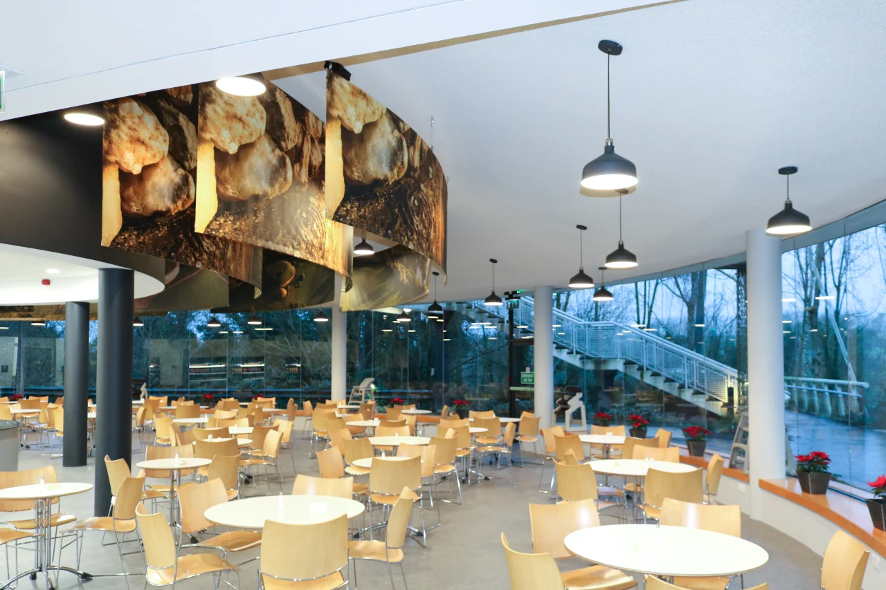 Image showcasing Eco-Friendly Soundproofing Solutions for Peaceful Spaces | Ecological ...